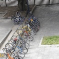 bicicleteros