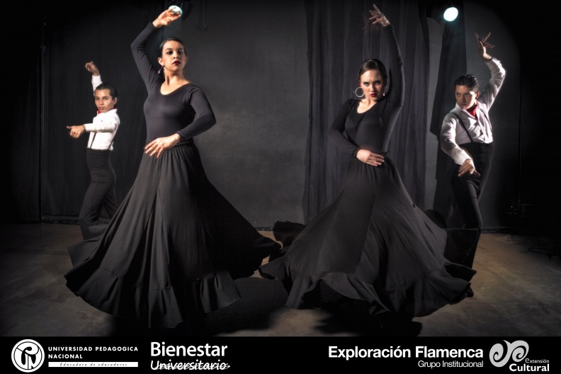 flamenco.jpg