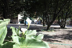 Plaza Dario 