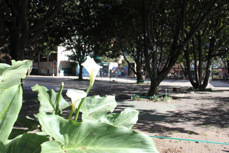 Plaza Dario .JPG