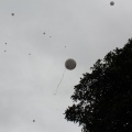 Símbolo libertad los globos fueron lanzados al aire (2)