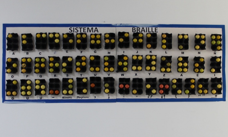 Pared Braille.jpg