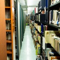 Biblioteca 2019-72 (56)