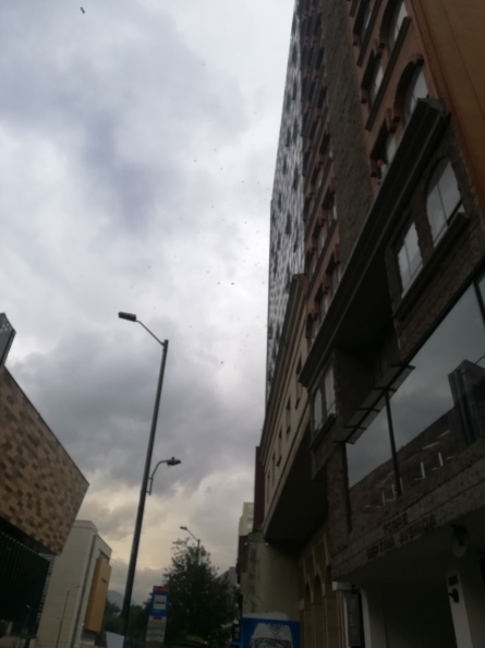 IMG_20170926_122001.jpg