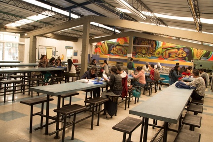 Restaurante 2019 (17)