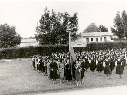 lab 1955 fundación
