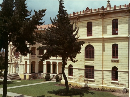 06