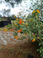 IMG 20250211 110407