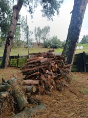 IMG 20250211 110429