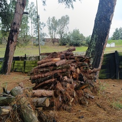 NATURALEZA CASTILLO MARROQUIN