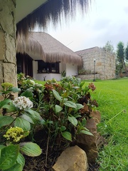 IMG 20250211 110513