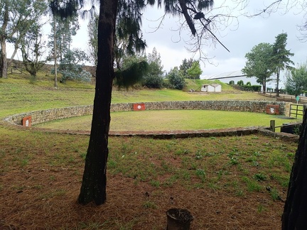 IMG 20250211 110804