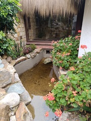 IMG 20250211 112746