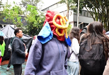 escuela colores (3)