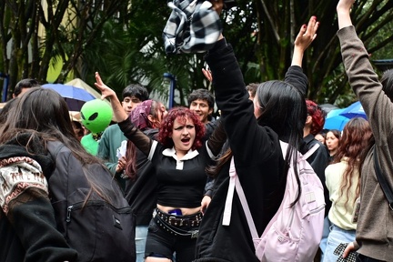 escuela colores (4)
