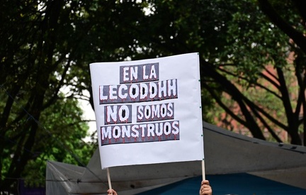 escuela de colores (8)