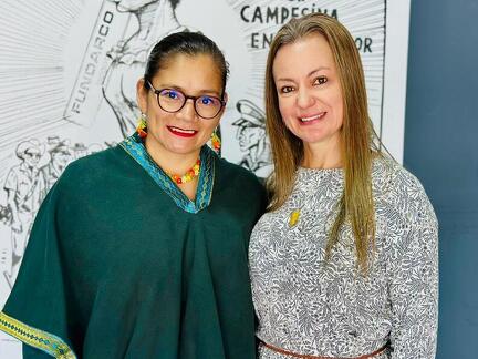 convenio PEI colegios departamentales  (20)