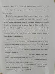ecos panuelos IPN 19